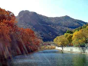 管家婆黑白马报图库，蜂花前清茶价格